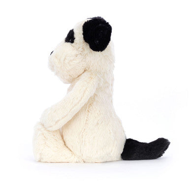 Chiot timide noir et crème