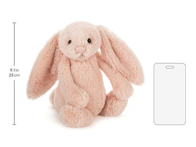 Lapin timide et blush