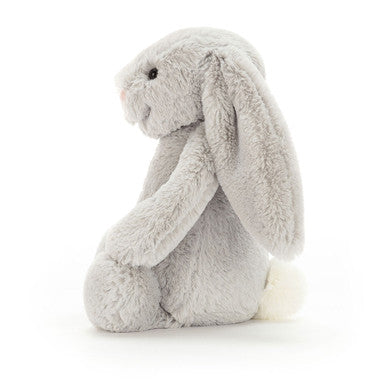 Lapin argenté timide