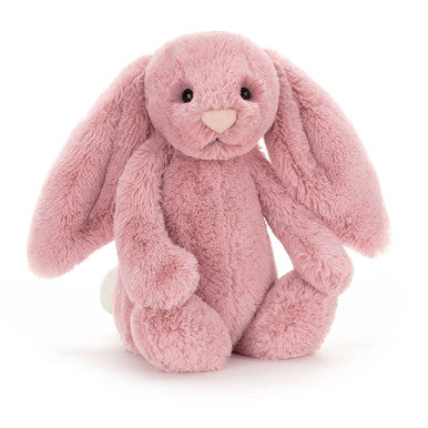 Lapin rose tulipe timide