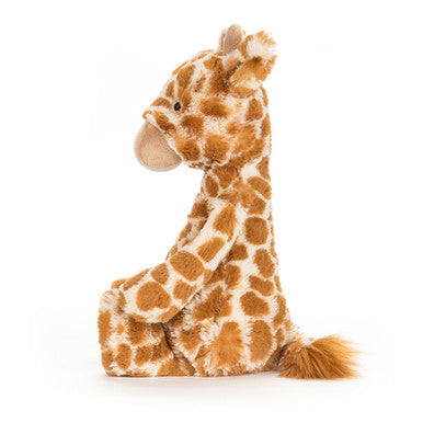 Girafe timide