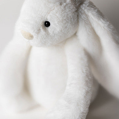 Luna, lapin de luxe timide