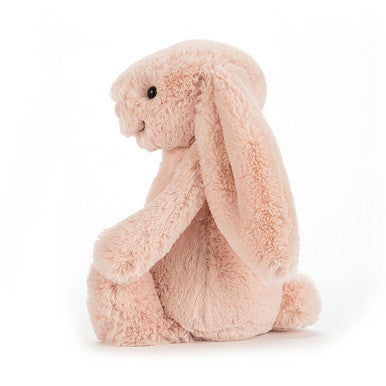 Lapin timide et blush
