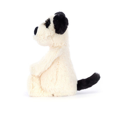 Chiot timide noir et crème