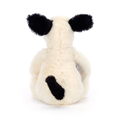 Chiot timide noir et crème