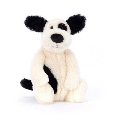 Chiot timide noir et crème