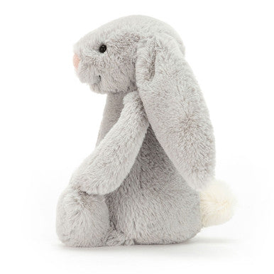 Lapin argenté timide