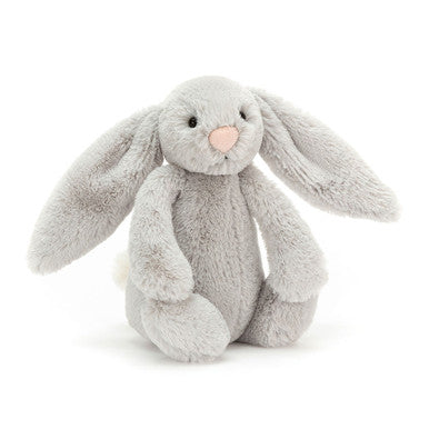 Lapin argenté timide