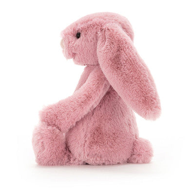 Lapin rose tulipe timide