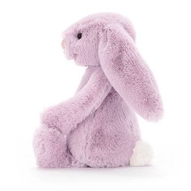 Lapin lilas timide