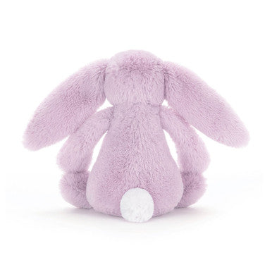 Lapin lilas timide