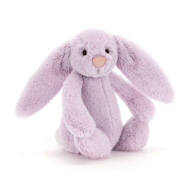 Lapin lilas timide