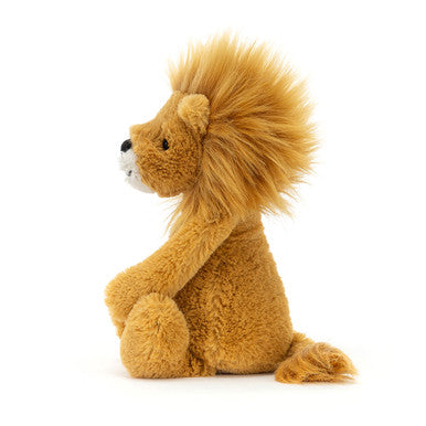 Lion timide