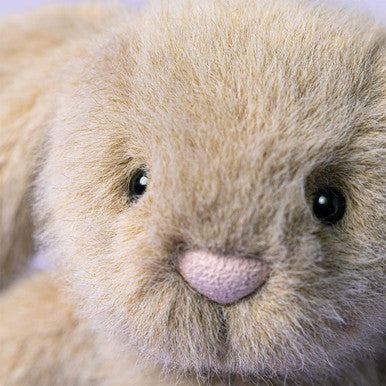 Lapin Flufflet à l'avoine