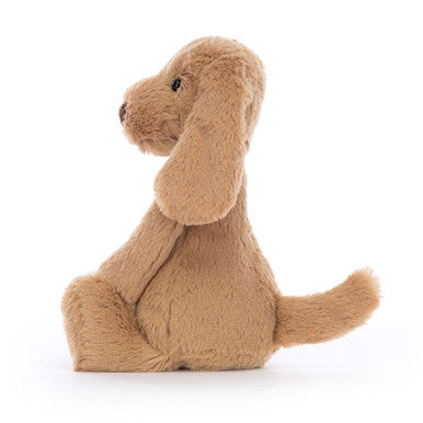 Chiot timide au caramel