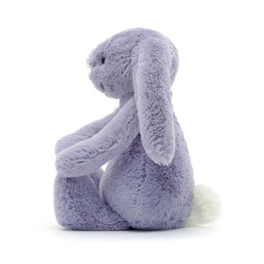 Lapin alto timide