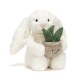 Lapin crème avec plante
