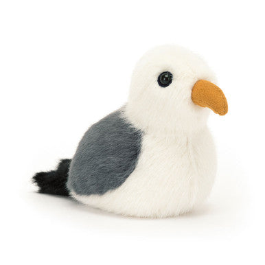 Mouette oiseau