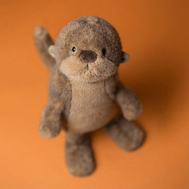 Loutre Brooke