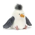 Mouette à puce