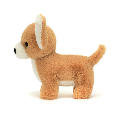 Isabelle Chihuahua