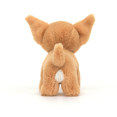 Isabelle Chihuahua