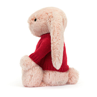 Lapin timide timide avec pull rouge personnalisé