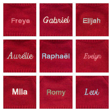 Chiot timide au caramel avec pull rouge personnalisé
