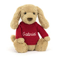 Chiot timide au caramel avec pull rouge personnalisé