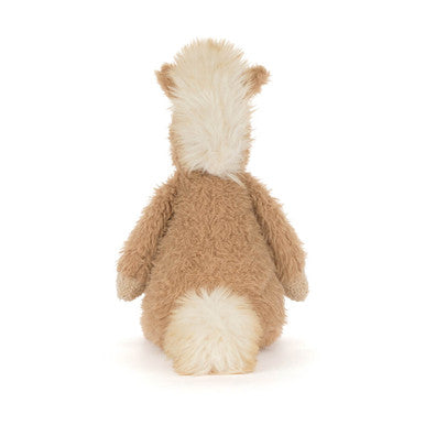 Poney Canternigh