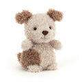 Petit chiot