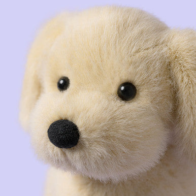 Chiot doré