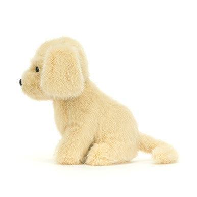 Chiot doré