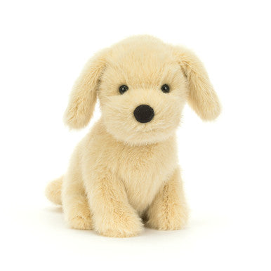 Chiot doré