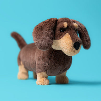Chien Saucisse Otto