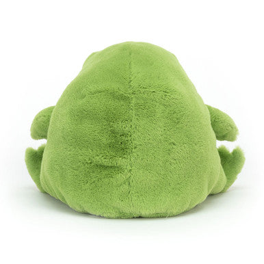 Grenouille de pluie Ricky