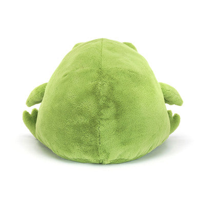 Grenouille de pluie Ricky