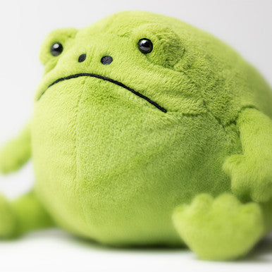 Grenouille de pluie Ricky