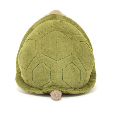 Timmy Tortue