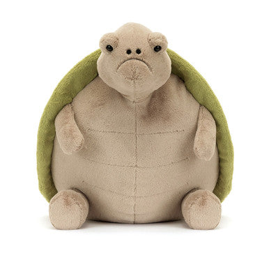 Timmy Tortue