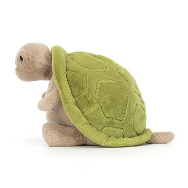 Timmy Tortue