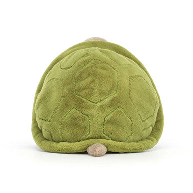 Timmy Tortue