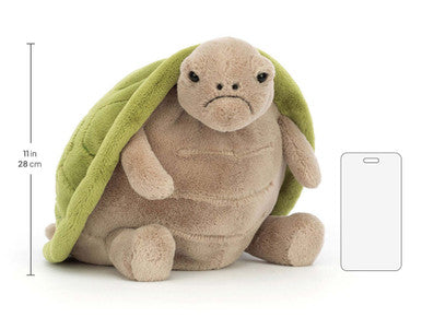 Timmy Tortue